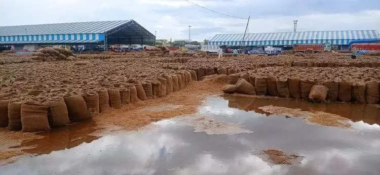 Kurukshetra: लाखों क्विंटल धान बरसात में भीग जाने से भी प्रशासन सबक नहीं ले पाया