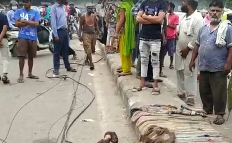 Delhi Road Accident: सीमापुरी इलाके में डिवाइडर पर सो रहे लोगों को ट्रक ने कुचला, 4 की मौत !