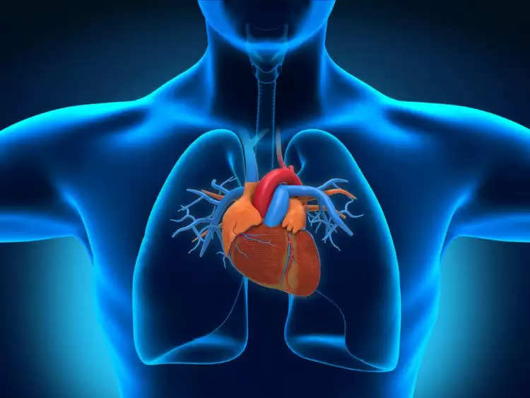 Heart: 6 मिनट का वॉक बता देगा, कितना मजबूत है आपका दिल
