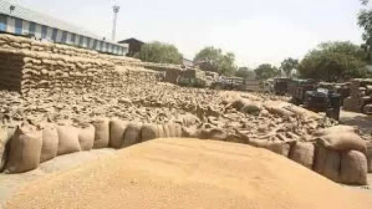 हरियाणा : संयुक्त किसान मोर्चा की सरकार से मांग, कहा- गेहूं खरीद पर 500 रुपए प्रति क्विंटल बोनस मिलना चाहिए