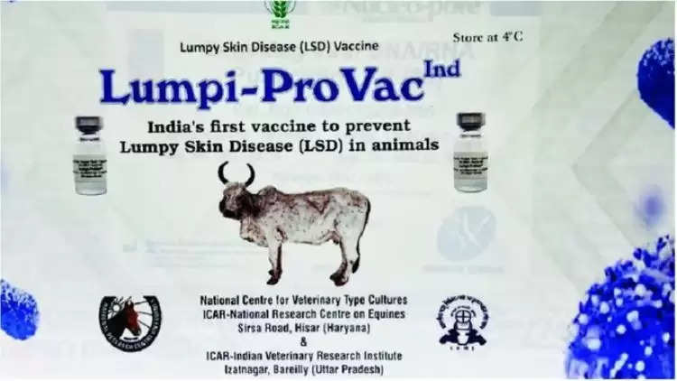 Lumpy skin Disease: हिसार के राष्ट्रीय अश्व अनुसंधान केंद्र के वैज्ञानिकों ने खोजा टीका