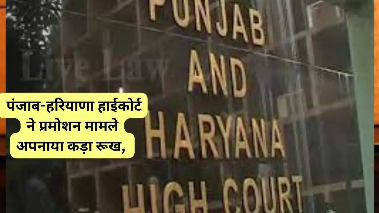 Haryana News: पंजाब-हरियाणा हाईकोर्ट ने प्रमोशन मामले अपनाया कड़ा रूख, 2015 से अब तक के सभी शिक्षा महानिदेशक तलब", "url":"https://bharat9.com/haryana/chandigarh-the-punjab-and-haryana-high-c