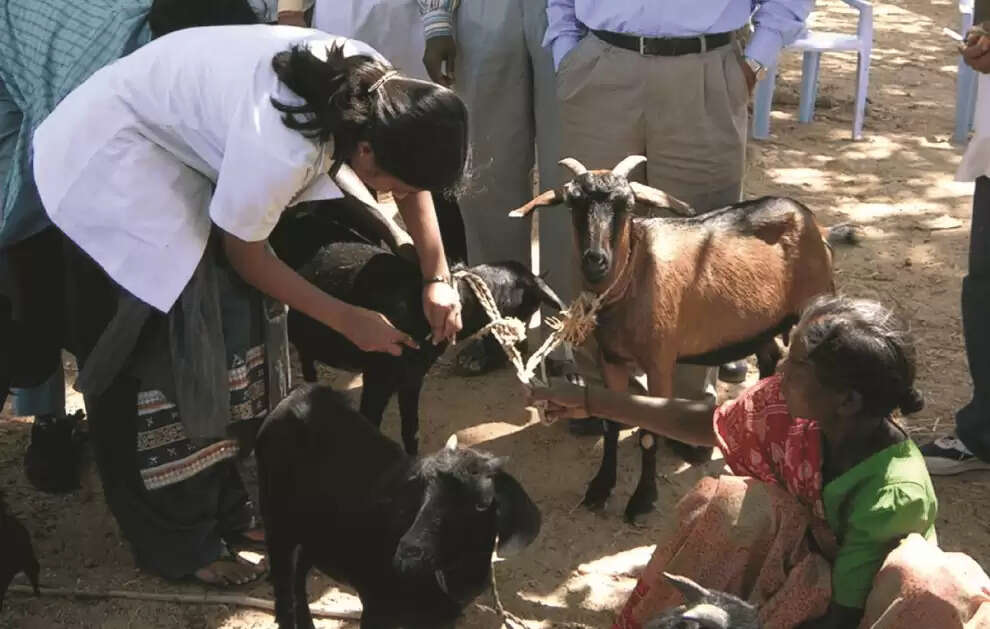haryana