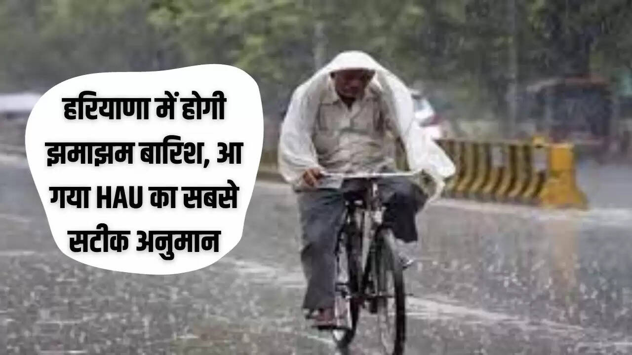 Haryana Weather Alert: हरियाणा में कल रात से होगी झमाझम बारिश, आ गया HAU का सबसे सटीक अनुमान