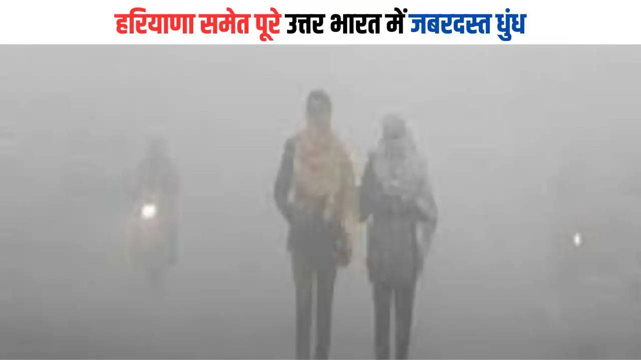 हरियाणा समेत पूरे उत्तर भारत में जबरदस्त धुंध