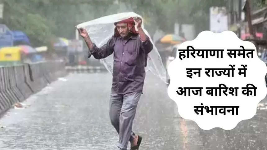 weather alert haryana