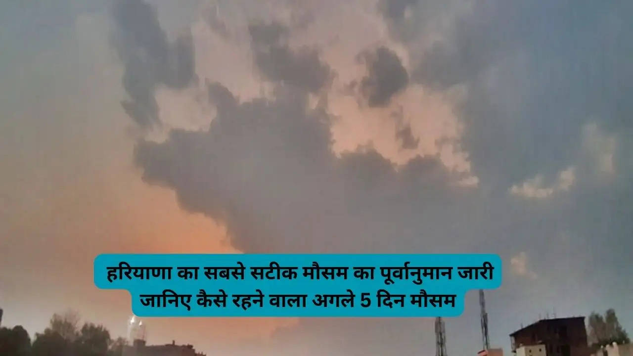 Weather Report: Haryana's most accurate weather forecast released, know how the weather will be for the next 5 days