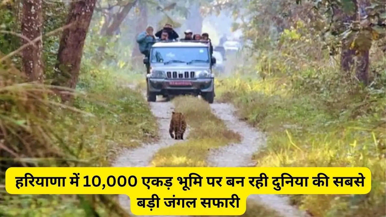 Haryana Tourism: हरियाणा में 10,000 एकड़ भूमि पर बन रही दुनिया की सबसे बड़ी जंगल सफारी,  स्थानीय लोगों को मिलेंगे रोजगार के अवसर