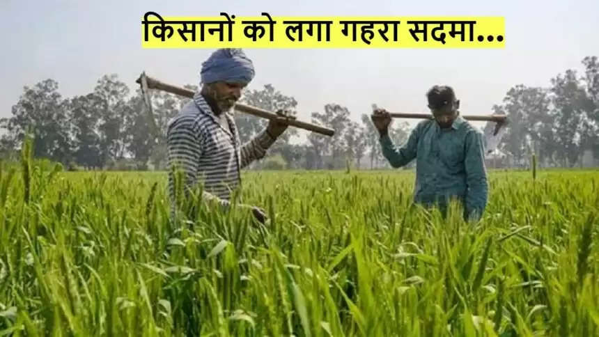 PM KISAN YOJANA