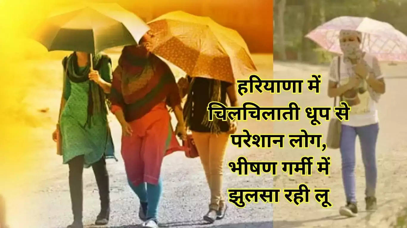 haryana weather update