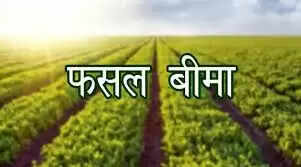 gohana
