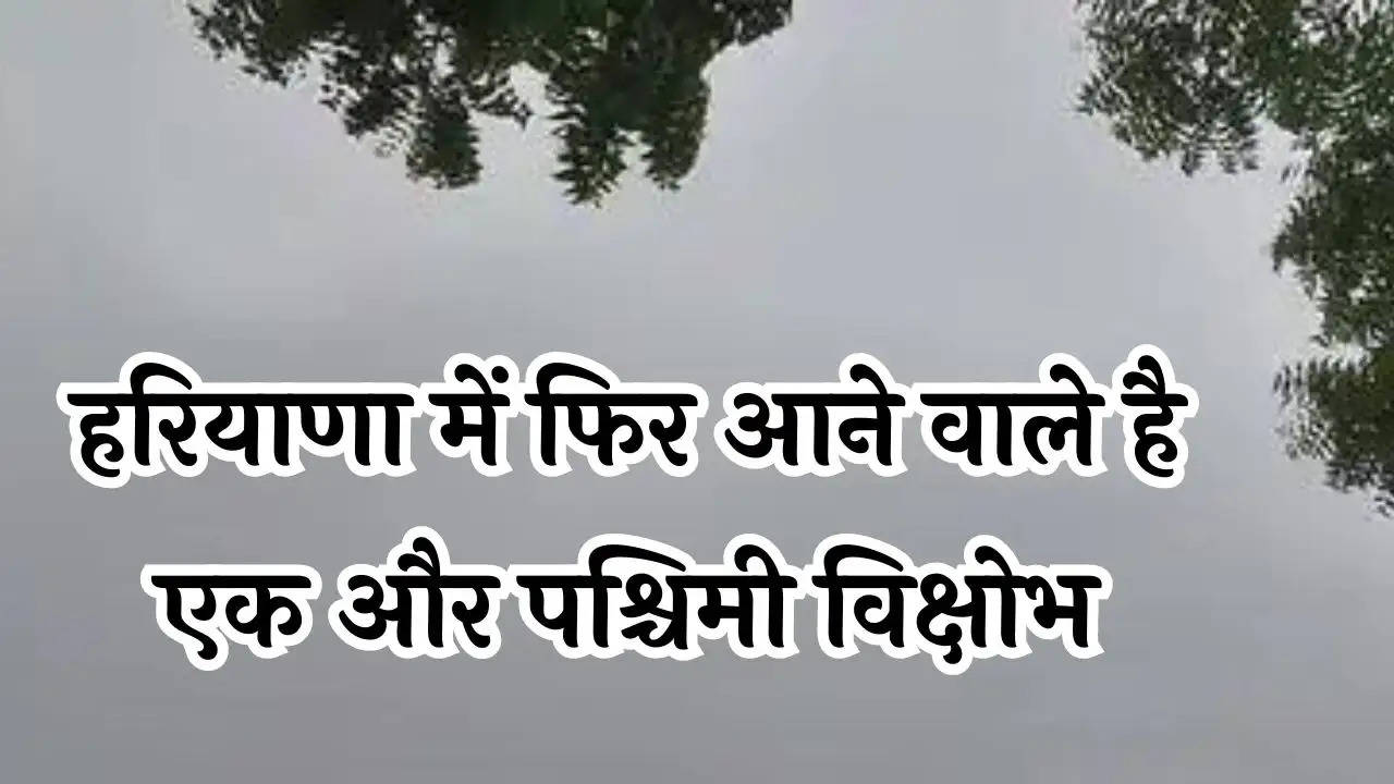 Haryana Rain Alert: हरियाणा में फिर आने वाले है एक और  पश्चिमी विक्षोभ, इस तारीख से होगी झमाझम बारिश